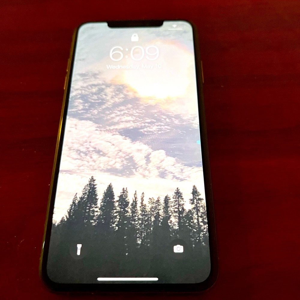 iPhone XS Pro 256g Rose Gold (unlocked)